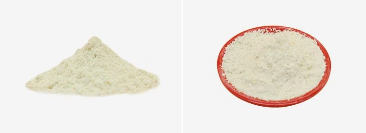 Gamma Oryzanol Powder 2