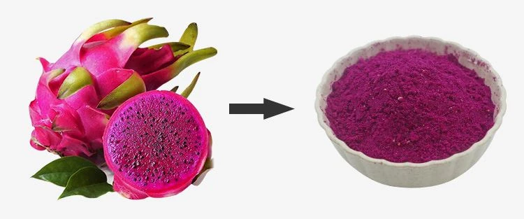 Freeze Dried Dragon Fruit Powder 1