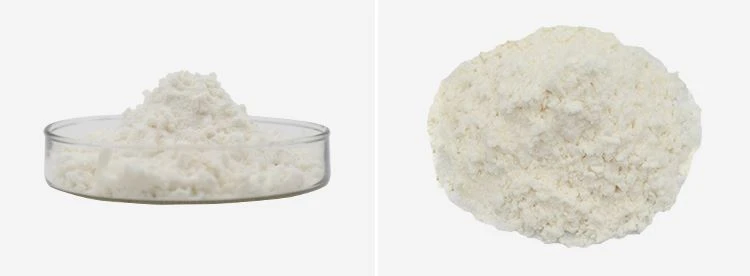 Coconut Milk Powder Wholesale 2