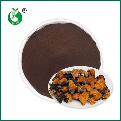 مسحوق استخراج تشاغا
