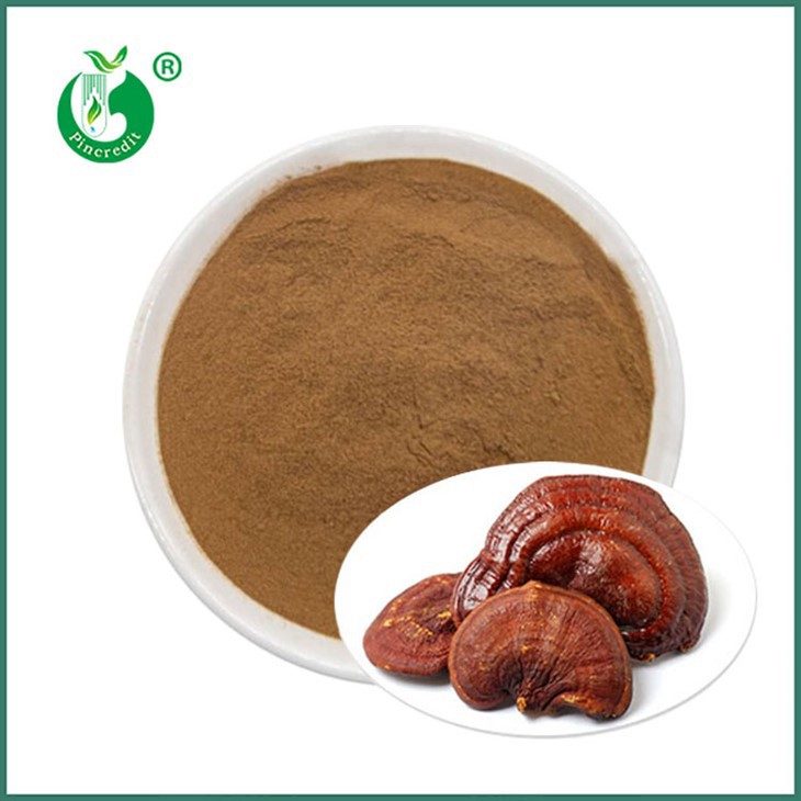 مسحوق استخراج ريشي